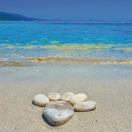 Apartman In With Wifi